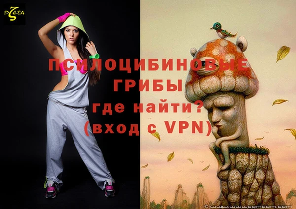 ПСИЛОЦИБИНОВЫЕ ГРИБЫ Одинцово