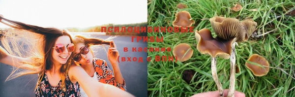 марки lsd Кодинск
