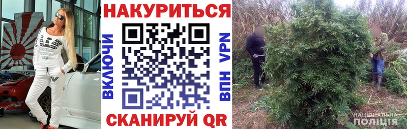 Конопля THC 21%  Купить  Ветлуга 
